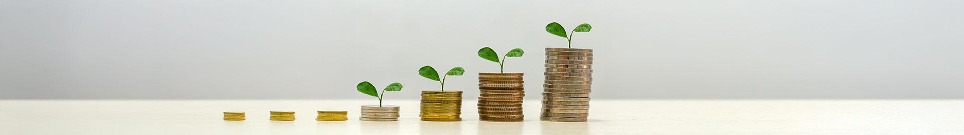 Nedupuzha Service Cooperative Bank Ltd. No. 555